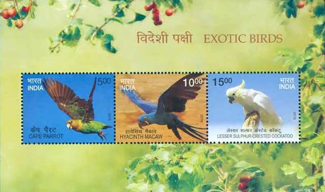 Miniature Sheet on Exotic Birds