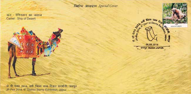 Jp-pex 2014 Special Cover