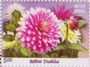 Flowers - Dahlia My Stamp Sheetlet