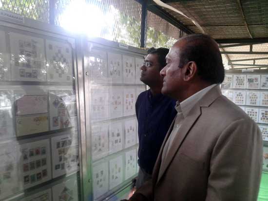 200th Flower Show at Lalbagh, Bangalore