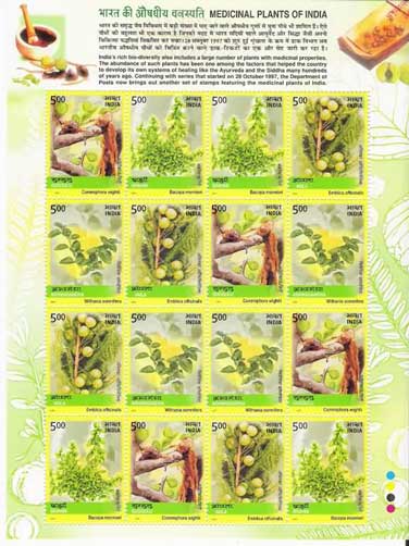 Medicinal Plants Sheetlet