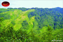 Incredible India Picture Postcards