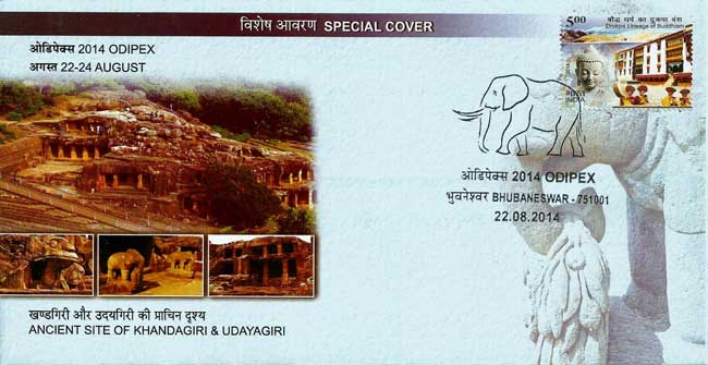 Odipex-2014 Special Cover