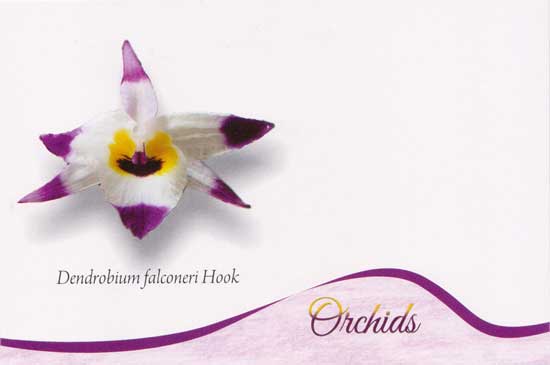 Picture Postcards on Orchids