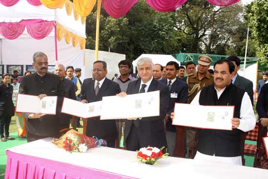 Spring Festival - 2015, Dehradun