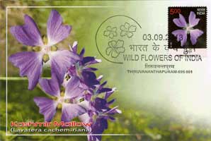 Wild Flowers of India Maxim Cards